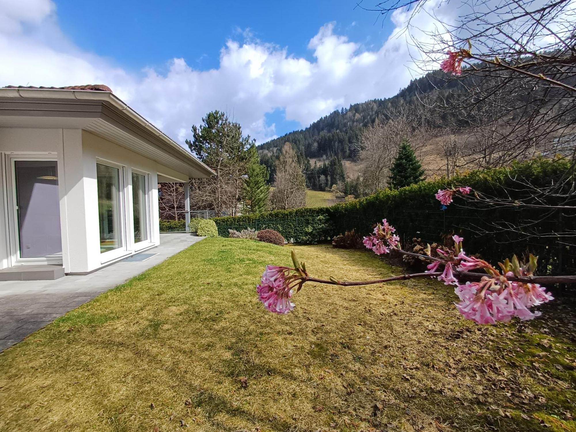 Ferienhaus Falcon Kitzsteinhorn - Steinbock Kaprun